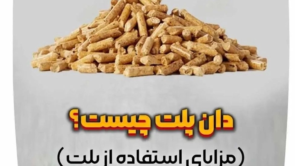 دان پلت چیست