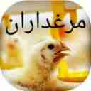 فروشگاه خوراک دام و طیور مرغداران در تالش