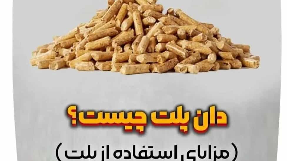 دان پلت چیست