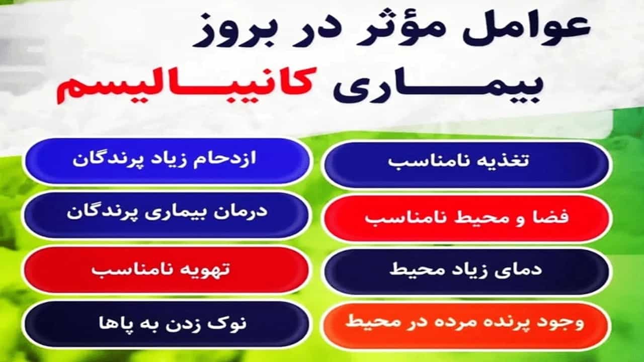 کانیبالیسم چیست؟