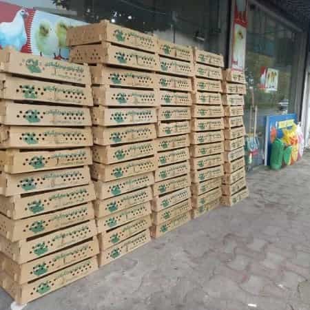 1700463280569.webp