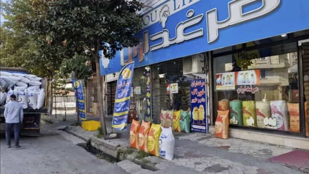 نقش و اهمیت مرغداران
