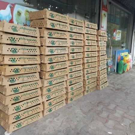 1700463280569.webp